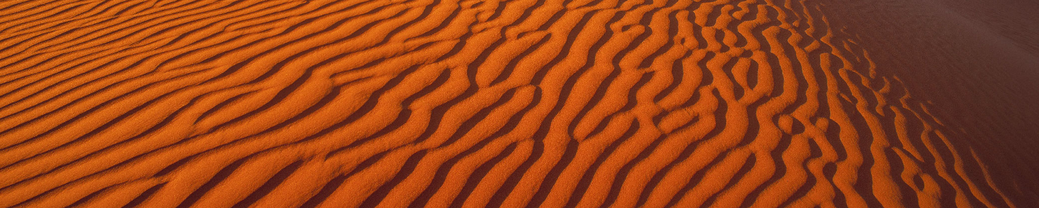 Simpson Desert landscape sand